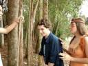 Iracema pt.2.wmv