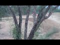 entrenando en la tinaja antes de mi caida