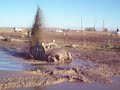 2nd part HARDCORE mudding in a bug