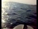 Mallorca 2008
