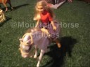 mountain Horse Stables - Intro