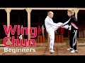 Wing Chun Lesson 24 : basic energy drill/ punch drill