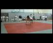 TSV Neutraubling Judo 2007 part 3 of 3