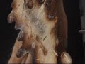 Airbrush Art Atelier