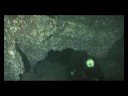 Blu Shark - Cave Diving 02/10/2008 Blu Shark - Cave Diving 02/10/2008