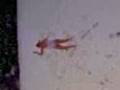 videos de Cha a poils dans la neige :D