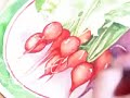 Watercolor Painting Demo Part II Radishes By Lori Andrews