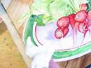 Watercolor Painting Demo Part II Radishes By Lori Andrews