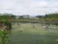 videos de Training ISO 14001