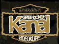 Vilda hockeyfighter i träningsmatch - GrrrHockey.com