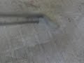 Carpet Cleaning Boston