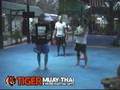 Gracie Barra Black Belt Tony Eduardo awards MMA Phuket fighter Andreas Hesselback BJJ Blue Belt