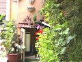 El Jardin de Manuel