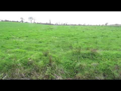 how to drain boggy land