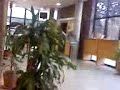 en el banco credicoop