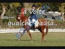 lovely pony.wmv