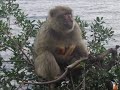 tahar jijel tahar jijel