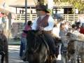 Fort Worth Historic Stockyards, TX - Picture