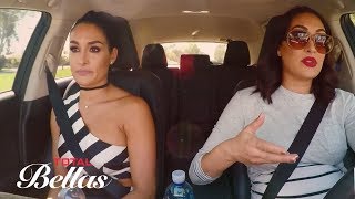 Brie Bella and Nikki Bella debate about Birdies fu