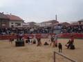 Charlotada de Peñas en Fiestas de San Miguel - Agreda