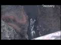 Adrenaline Rush: Base Jump