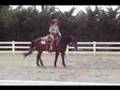 Tall Dark N Smart - Reining - For Sale