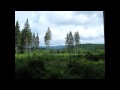 Goaschuld - Hypnotic Bells (Chillout Music)
