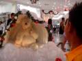 UM ROL� NO SHOPPING