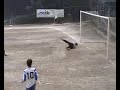 Mefa gol Mefa gol