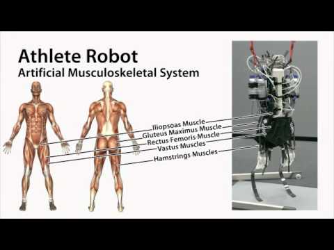Los japoneses ahora quieren crear un robot atleta