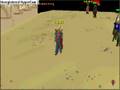 pwnag3 l00t getting owned