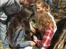 Geocaching - Tried it...liked it...do it!