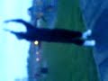matt smethurst back flip