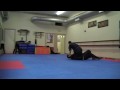 BUJINKAN CANTABRIA.m4v