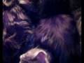 Guess what this is~Hear the yukky sounds this cam makes!
