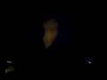 Bob Stromberg's Shadow Hand Puppet