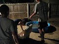 Fish Slapping