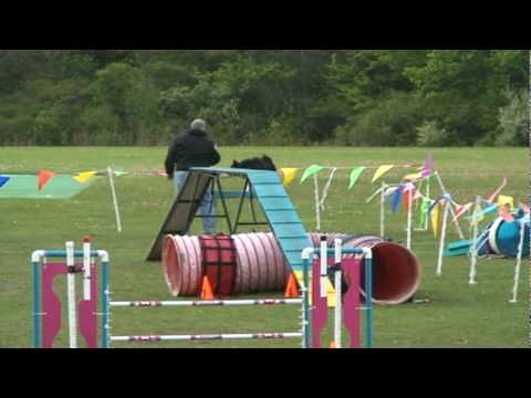 aeshnid - Peek-A-Boo's first Advanced Standard leg in USDAA at CCDAC 5/8/10. Very cold, rainy, windy nasty weather..and the