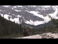 Horse Back Hunting Trip