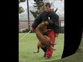 Cali - decoy training