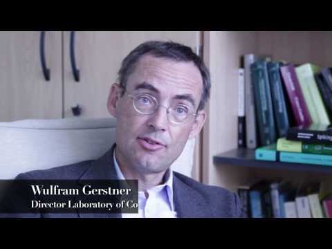 how to involve undergraduates in research