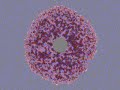 Diesease simulations Diesease simulations