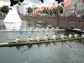 Roeien hofvijver Roeien hofvijver