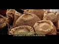 Lagaan - Parte 1 - Subtitulado en Español