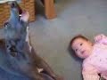 baby dog duet
