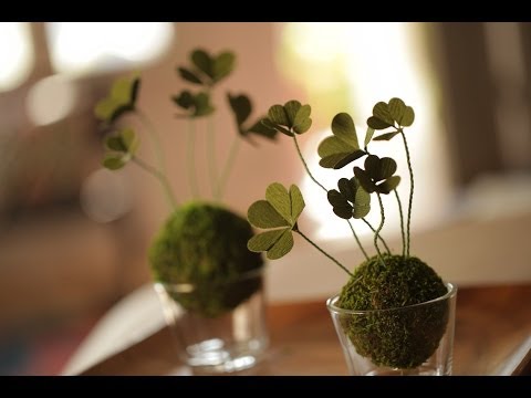Robert's St Patrick's Day DIY Clovers