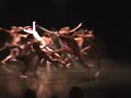 BRI Modern Dance BRI Modern Dance