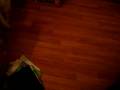 MOV00969.AVI