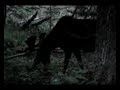 New Hampshire Moose