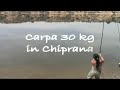 SEXY GIRL FISH A BIG CARP OVER 60 LBS PART ONE - HD by YURI GRISENDI